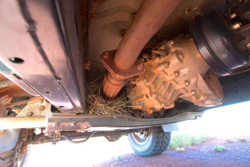 Cybercab Robotaxi EVs vs Floods - no, Florida, they don't explode. grass-exhaust-fire-1024x683