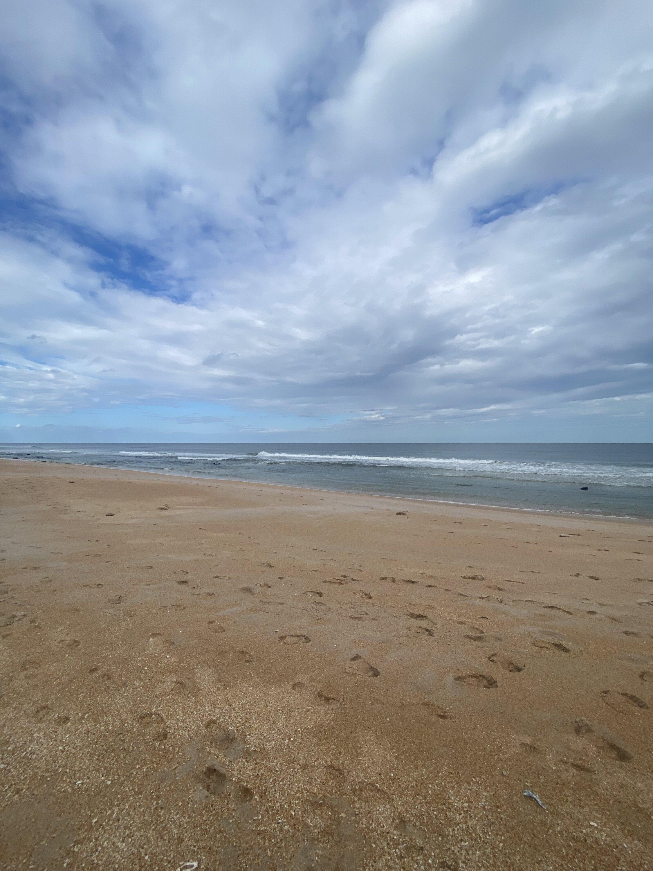 Cybercab Robotaxi Happy Thanksgiving to all F9DA285D-B754-423D-8D03-318E8C0C4EC9