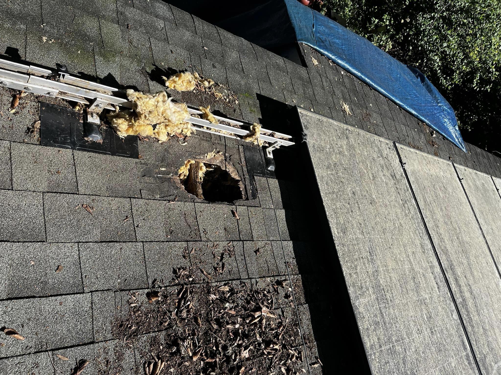 Cybercab Robotaxi Solar to charge your truck is awesome BUT IMG_2918