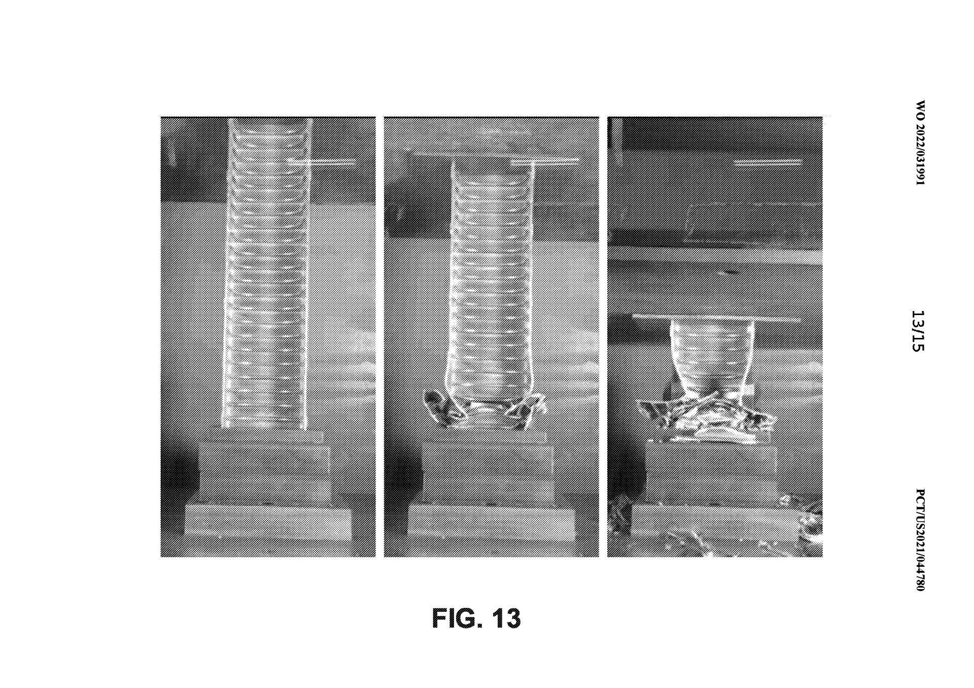 Cybercab Robotaxi Did this fella just realalize he forgot to hit the send button 2 years later. in-the-tesla-model-y-protect-you-in-an-accident_11