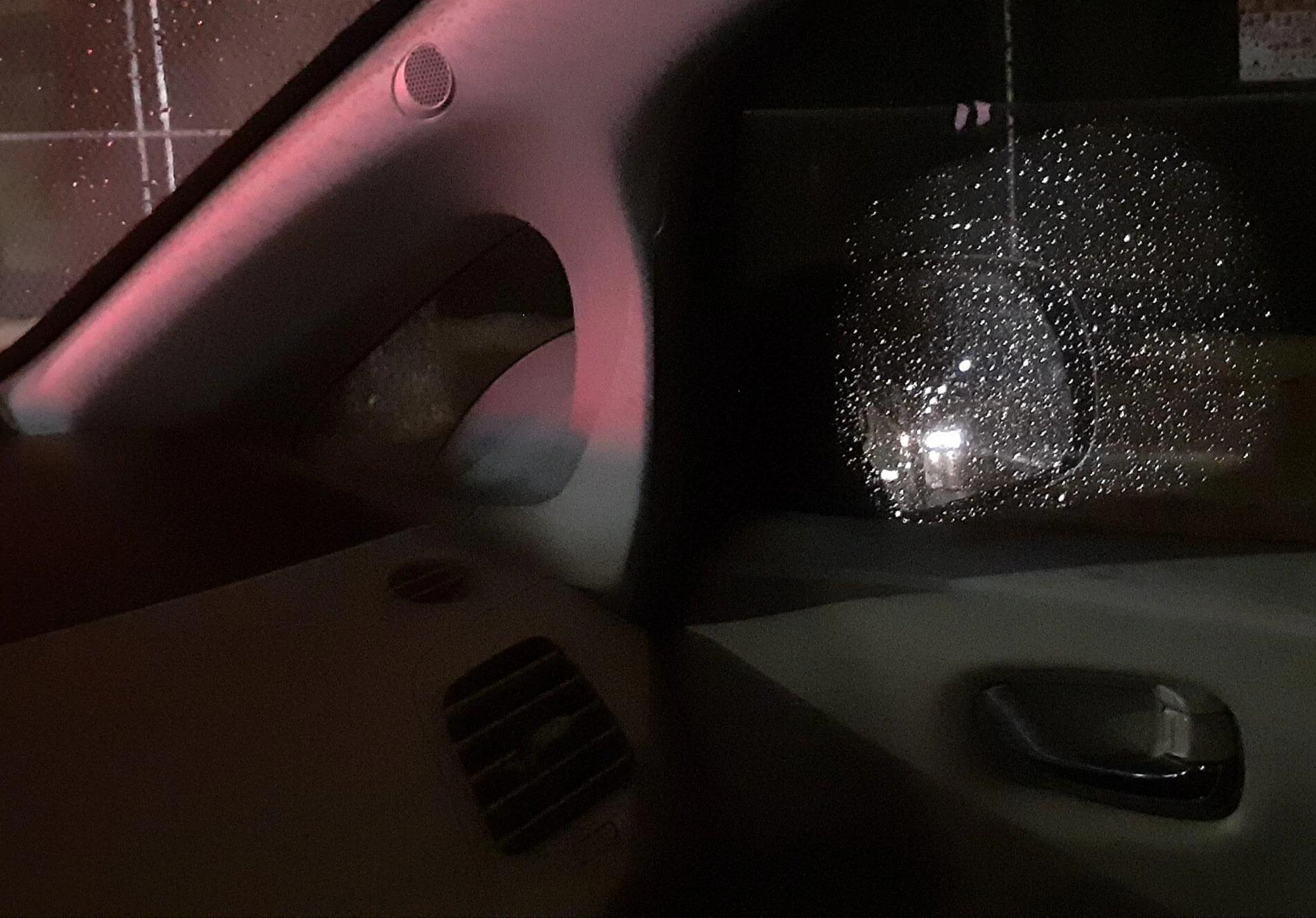 Cybercab Robotaxi camera side mirror on leaf 20210126_183813