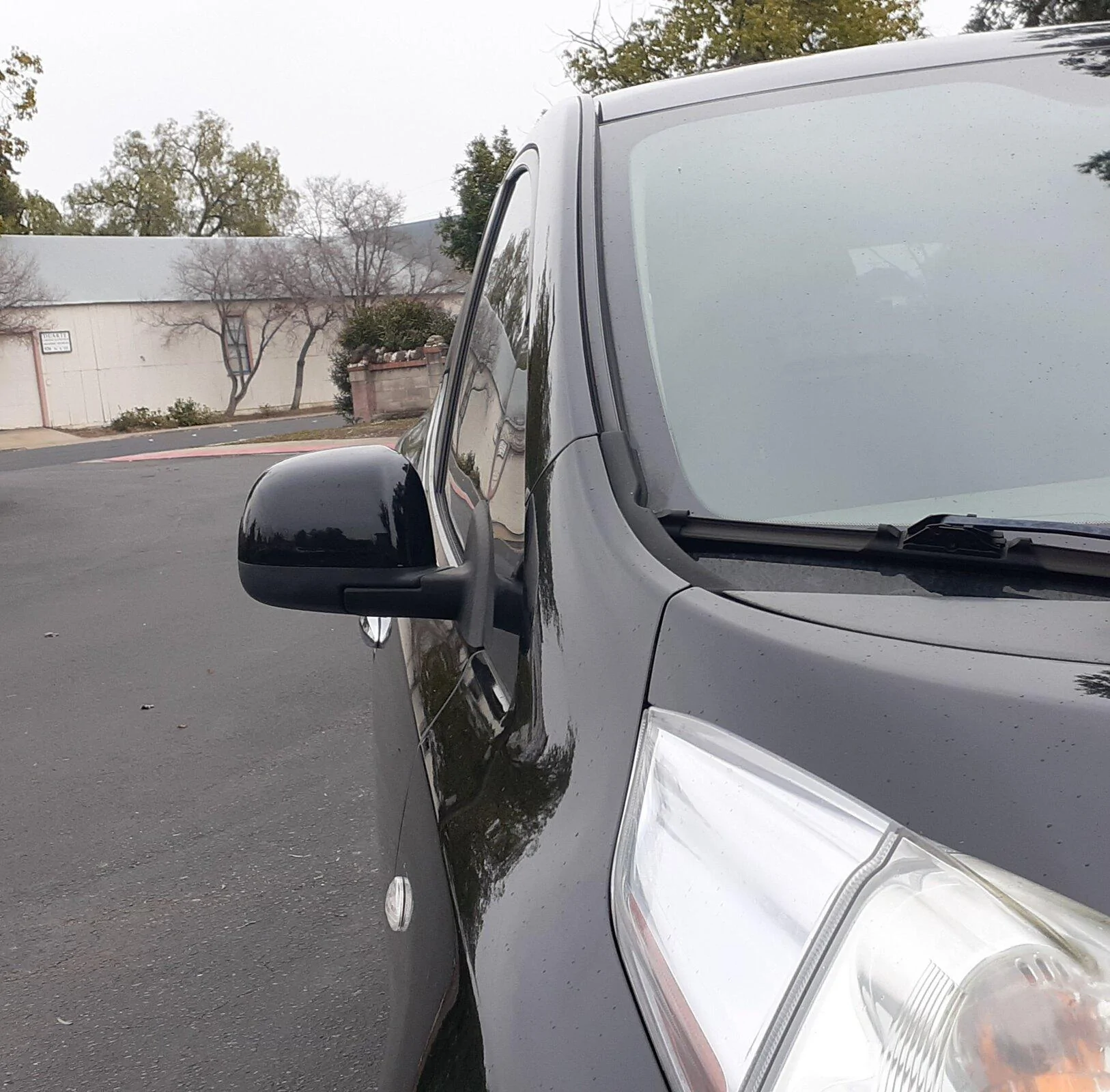 Cybercab Robotaxi camera side mirror on leaf 20210126_183725