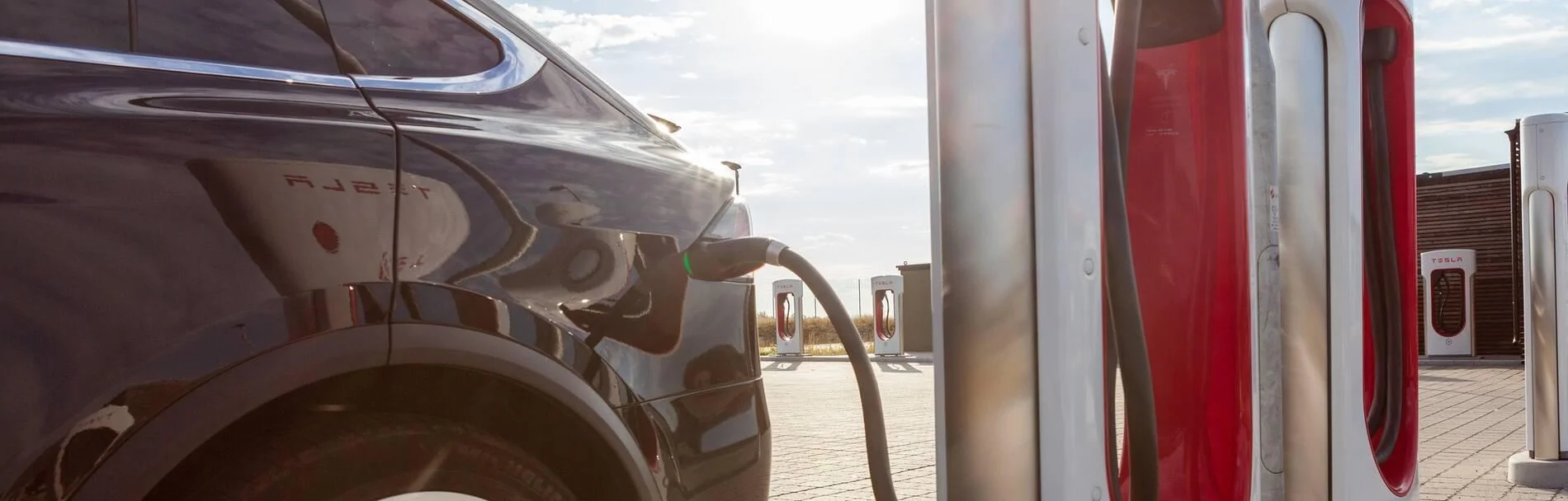 Cybercab Robotaxi The Tesla Mafia: Elon Musk’s Ex-Employees Vie To Become His Top Rival 2766e-2a43-47e5-a328-26f0d6d05762-getty-1280213442