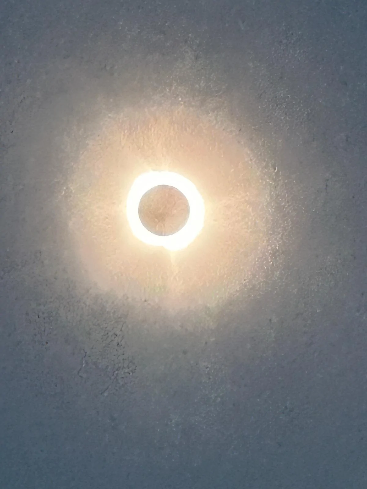 Cybercab Robotaxi Meanwhile in Texas… IMG_7585