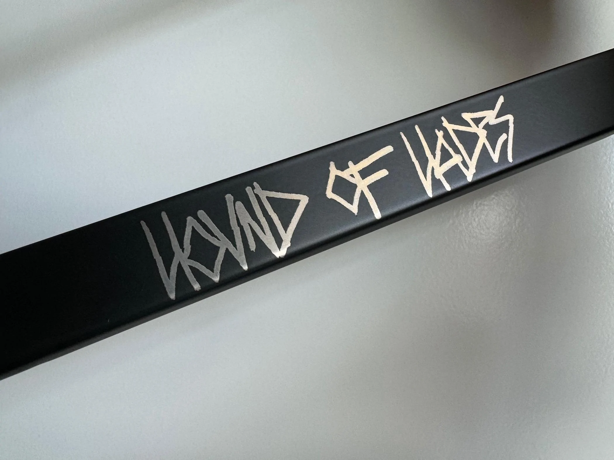 Cybercab Robotaxi Made a custom license plate frame: Hound of Hades IMG_6303