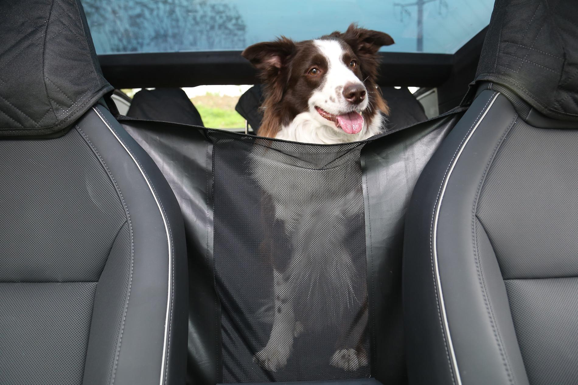 Cybercab Robotaxi Amazon Prime Day Shopping Guide Four: Storage, Cooler Bag, Protective Cover IMG_5311.JPG