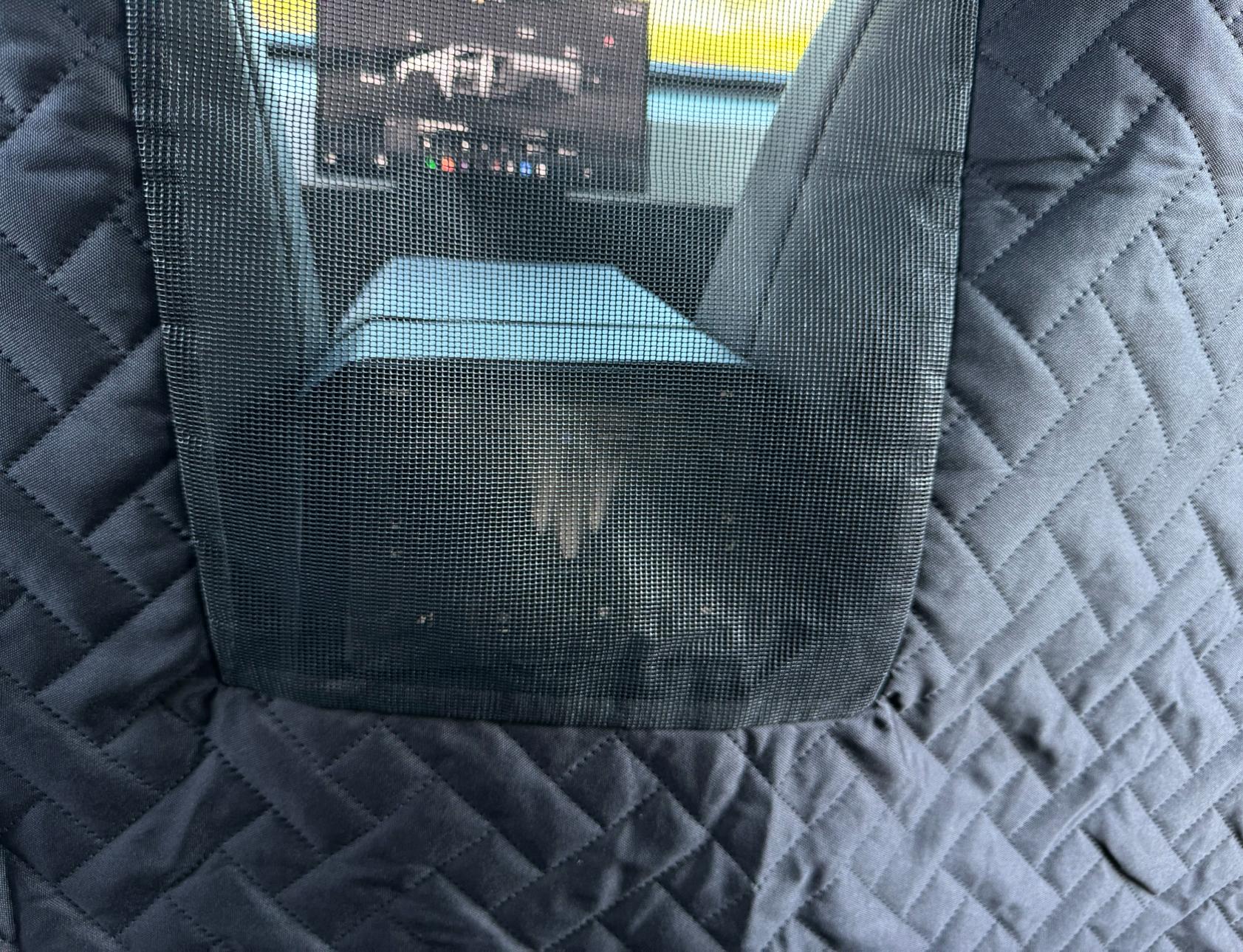 Cybercab Robotaxi UranusWander (Previously MarsAccs) Pet Cover v0.2.0 Updates IMG_6471