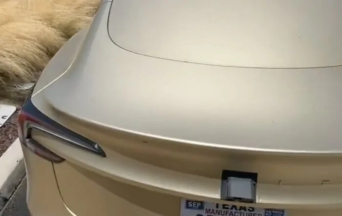 Model 3 robotaxi test mule with Cybercab cameras and gold wrap